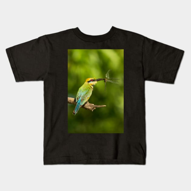 Rainbow Bee-Eater, Northern Territory Kids T-Shirt by AndrewGoodall